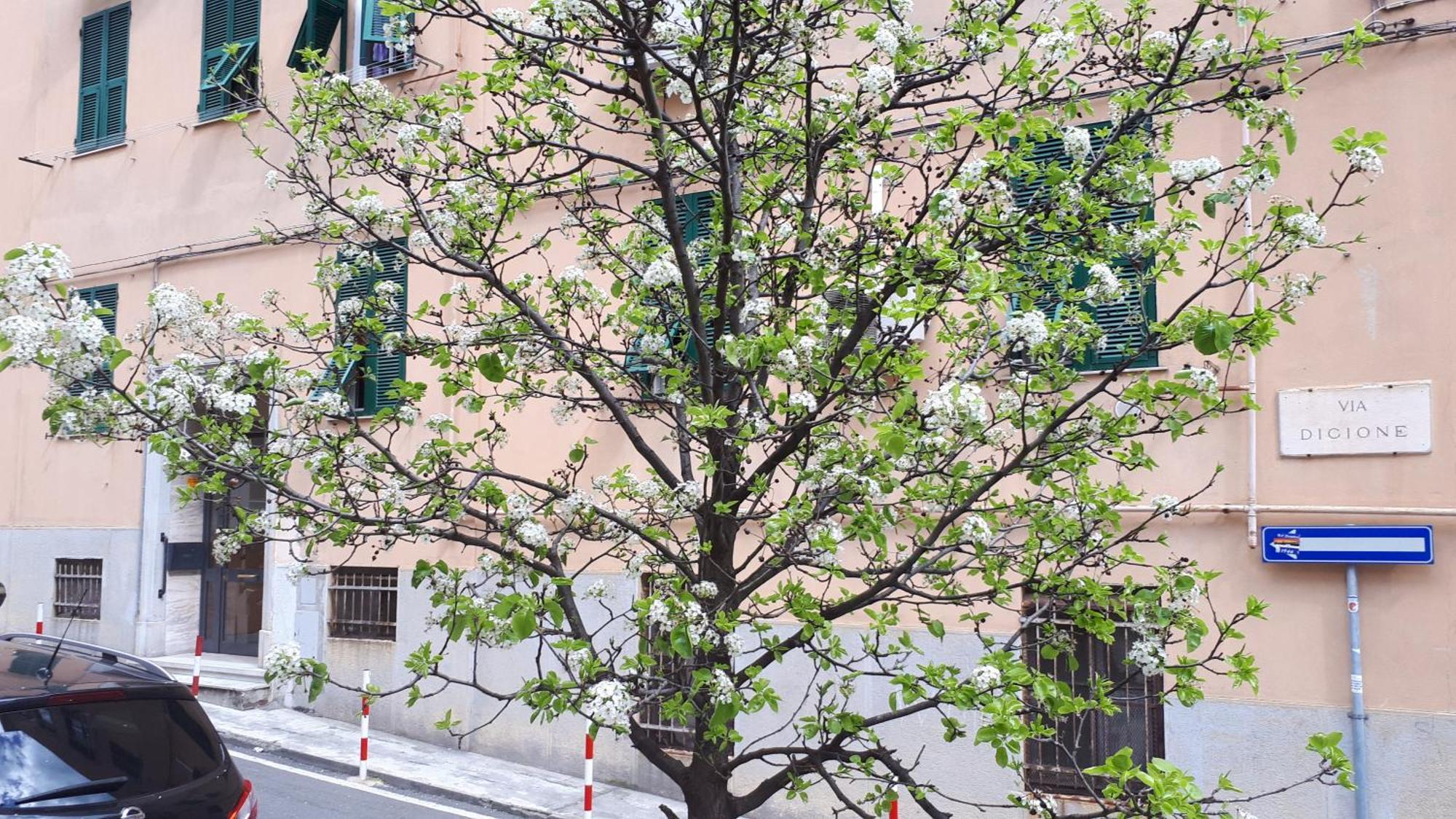 Ca'Saetta Bnb Holiday Home - Park & Go To Genoa Aquarium And Old Town Exterior foto